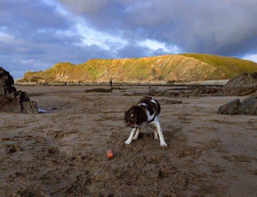 Kate Middleton Is On Board with This Comfy Pants Trend That Deviates from Her Norm